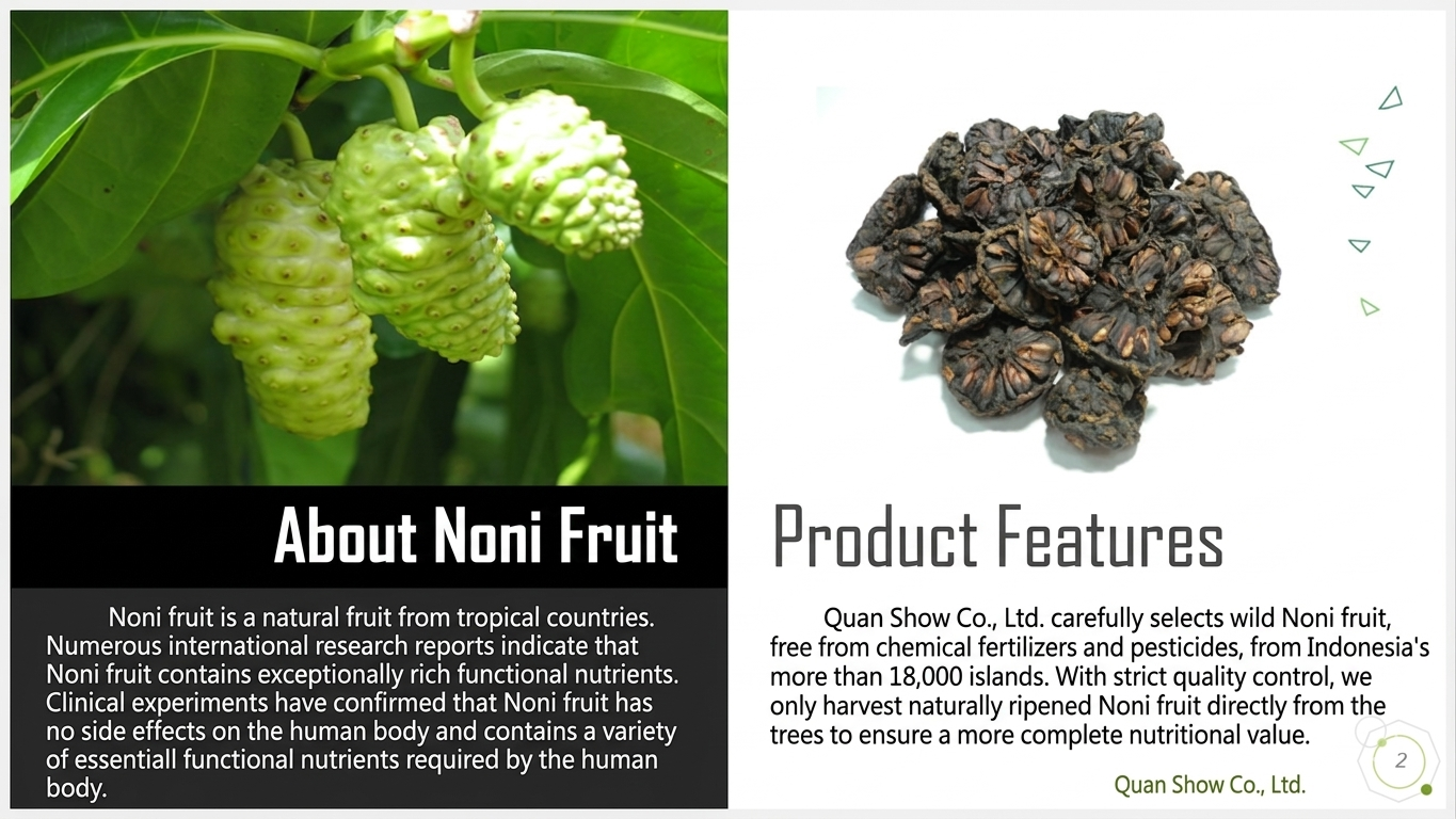 Noni Herbal Tea – Natural Immune Support & Detox Drink